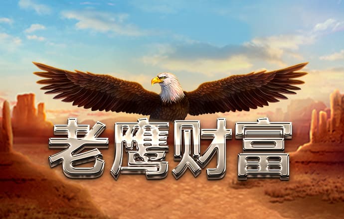 正宗香港内部资料